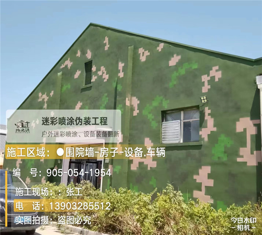 玉树外墙数码迷彩漆施工报价清单（100㎡标准墙面测算）